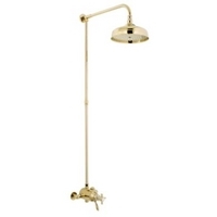 Timeless Mixer Shower Gold Effect